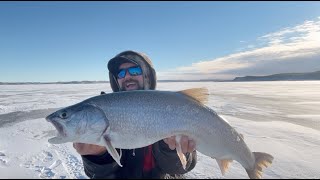 Ice Fishing Giant Reservoir For Lake Trout (FORT PECK MONTANA)