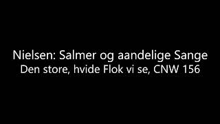 Nielsen: Den store, hvide Flok vi se, CNW 156