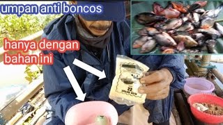 umpan anti bocos//umpan nila cirata!!mancing cirata