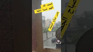 اللهم ارحمنا برحمتك .يا فالق الحب والنوى 🙏🙏🙏🙏🙏