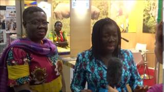 Tourism Minister speaks on Ghana's Tourism @ ITB 2015