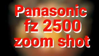 panasonic fz2500 zoom shot