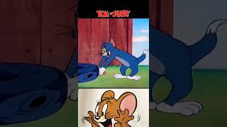 Том🐈‍⬛ і Джеррі🐁 #томіджеррі #tomandjerry  #мультфільм #ностальгія #catoon