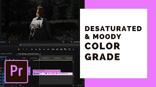 Desaturated Moody Color Grading in Premiere Pro [No LUTs]