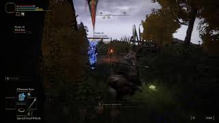 Elden Ring Randomizer With Two Noob