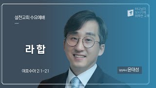 🟡 2024년 11월 13일 설천교회 수요예배(여호수아 2:1-21 "라 합" 윤태성 목사)