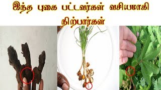 வசிய புகை தயாரிக்கும் முறை -Vasiyam Tamil - Siththarkal Ulagam