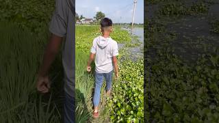 Kot ahilu #funnyvideo #minivlog #aminulvlogs #sunglasses #assamesevlog