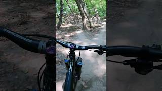 Step down ➡️ Step Up #mtb #mountainbikejumps #mtbjumps #shortvideo #downhill #rollercoaster