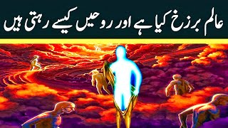 alam e barzakh kahan ha | barzakh kya ha | موت آنے کی نشانیاں | Shafa-e-Mehshar