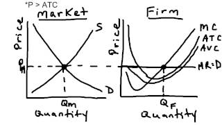 AP Micro Perfect Competition - Short Run Profit