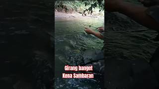 STRIKE IKAN WADER|sport pegunungan gacor