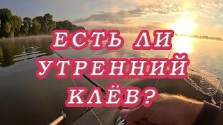 ЕСТЬ ЛИ Утренний КЛЁВ В ЖАРУ!? Спиннинги наутилус 2024! Для чего ОНИ НУЖНЫ? EGITAKA и BLACK MOON!