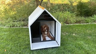 The Ultimate Wooden Dog House for Medium & Large Breeds | Weather-Resistant, Easy to Clean, & Cozy!