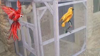 ye kis type ka cage h part 2 | All the birds have been shifted to a large cage.