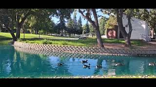 Outdoor activity - Nature View - Walking at the Lake - Bay area Lake view