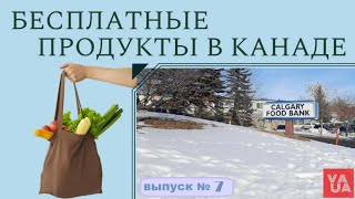 БЕСПЛАТНЫЕ ПРОДУКТЫ В КАНАДЕ. ФУД БАНК КАЛГАРИ ПРОВИНЦИЯ АЛЬБЕРТА. FOOD BANK CALGARY.