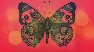 The Brian Jonestown Massacre ~ Goodbye (Butterfly)