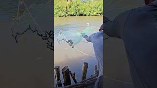 Pesca pesca señores #vidos #reel #pesca #videos