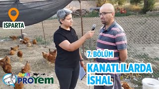 Kanatlılarda İshal - Yetiş Proyem 7.Bölüm