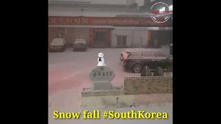 Snow fall (South Korea)