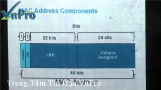 VnPro   Bài Giảng Ethernet Lan Part 2) avi   YouTube