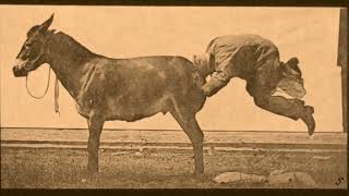 EADWEARD MUYBRIDGE   MULE KICKING