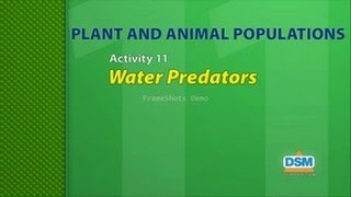 Plant and Animal Populations - Activity 11: Water Predators