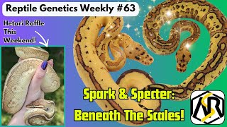 Spark & Specter Beneath The Scales! + Come See Us At Pomona This Weekend! - RGW Ep 63