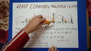 Understanding LCM in a Fun Way.