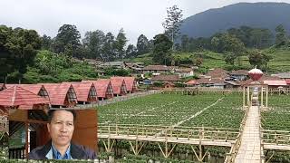 Villa Walini, Dusun Strawberry Walini Tipe Santung