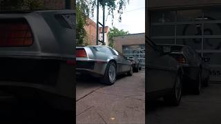 Fahrzeugüberwachung im Delorean DMC 12 HOOTS CLASSIC und BATTERY WLAN Batteriewächter