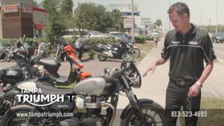 2017 Triumph Streetcup Street Cup Cafe Racer Motorcycle at Tampa Triumph