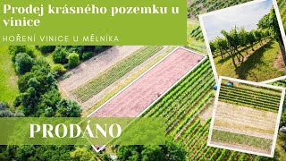 PRODÁNO. Prodej pozemku u vinic