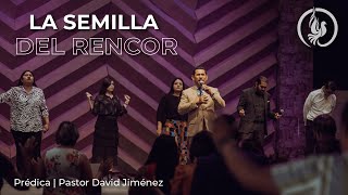 La semilla del rencor - Visión De Dios - Pastor David Jiménez