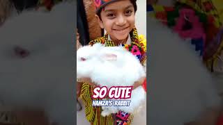 Aa leke chalu tujko | hamza's rabbit | rabbit video #viralvideo #youtubeshorts