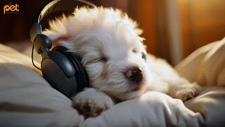 Dog Music: 24 HOURS | Deep Sleep Relaxation Melodies to CALM YOUR DOG #44