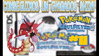 CONSEGUIMOS UN GYARADOS SHINY/pokemon plata soulsilver parte #11 con megagueimer nick