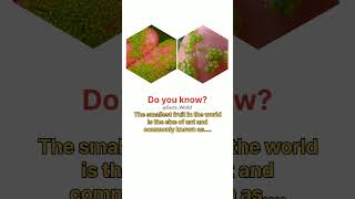 Do you know this unique fruit......#unique #fact #shortvideo #interestingfacts