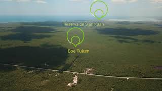 Haz realidad tu proyecto con Boé Tulum