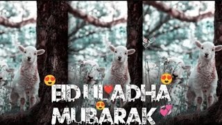 Qurbani Kren 🙏 - Eid ul azha WhatsApp status - #eiduladha #bakraeid #qurbanistatus #trend #viral