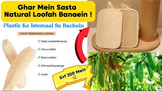 Daraz Product Review | Natural/Organic Loofah | Diy Natural Loofah At Home | Plastic Ke Se Bachein 🙏