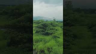 Beautyfull kashmir short video @ytshort_sk