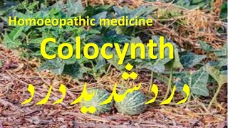 Colocynth homeopathic medicine for pains, neuralgia & colic's treatment #homeopathictreatment