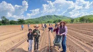 Trabajando en los campos de sinaloa para ganar dinero 💰