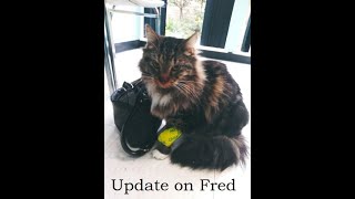 Update Video: Fred's Veterinary Shenanigans