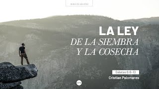 La ley de la siembra y la cosecha - Gálatas 6:6-10 - Cristian Palomares