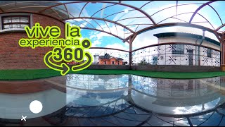 Experiencia 360 | Proyecto Reina Victoria | Césped Sintético Decorativo