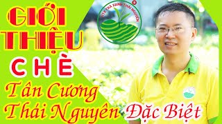 Chè Tân Cương Thái Nguyên đặc biệt | Trà Thái Nguyên cao cấp