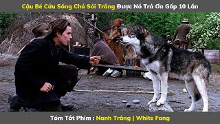 Review Phim Hay : Nanh Trắng - White Fang | Tóm Tắt Phim Hay